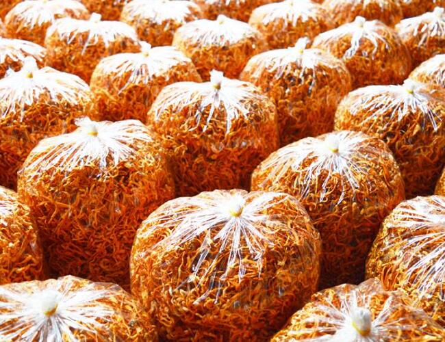 蟲草花發貨倉庫